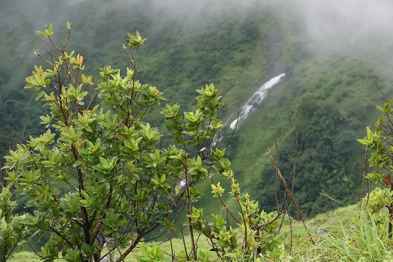 *** Resort Orion County Hotel Vagamon India