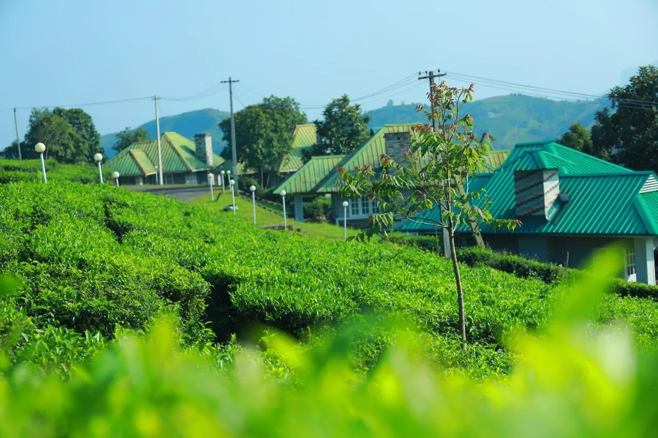 Resort Orion County Hotel Vagamon